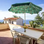 Bougainvillea Primo Piano - Goelba Zanca